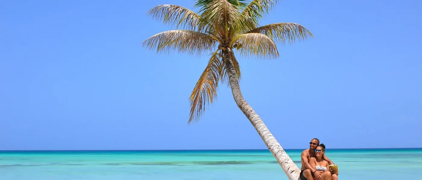 The shoreline of Saona Island at golden hour
