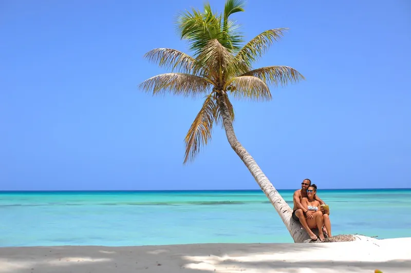 A palm tree leaning over the turquoise water of Saona Island